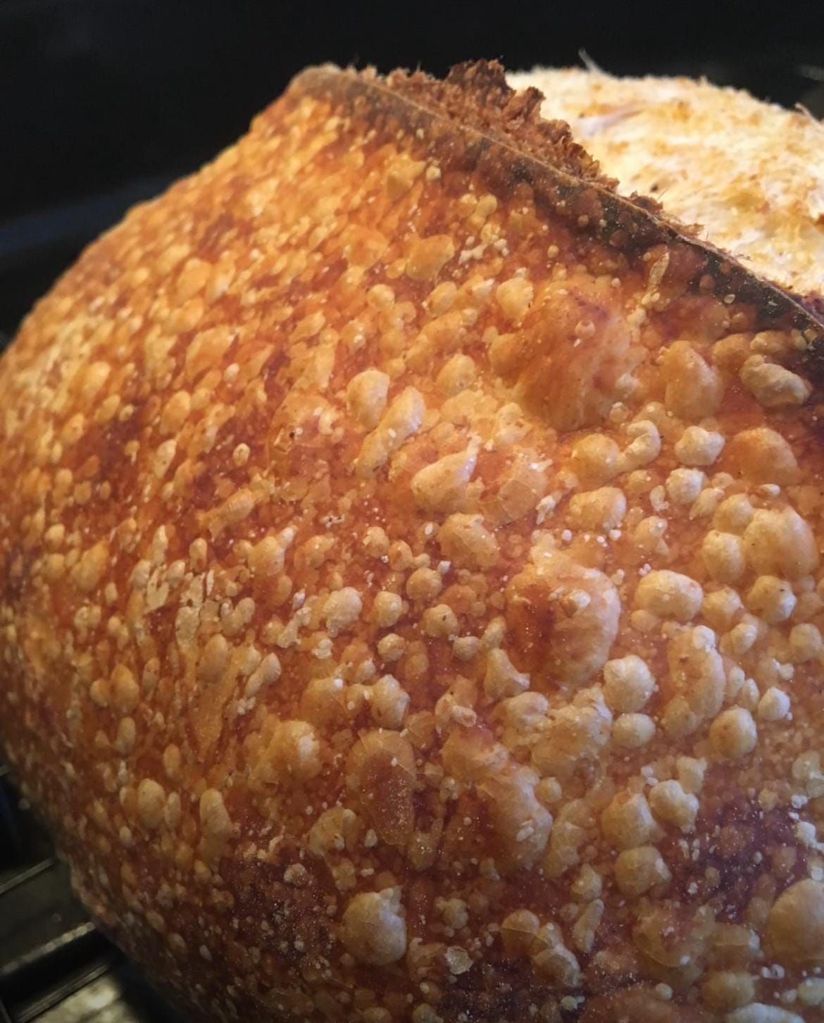 240+ year Old Easy San Francisco Sourdough Starter Heritage - Organic Dehydrated OUR BEST SELLER!