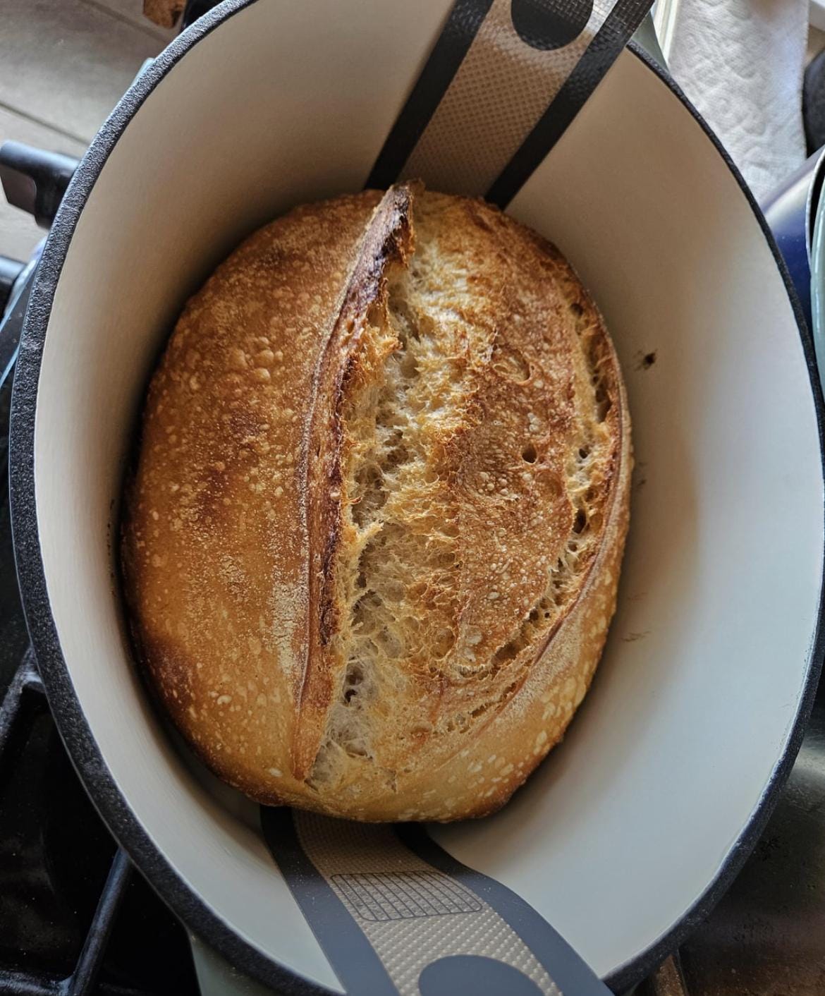 240+ year Old Easy San Francisco Sourdough Starter Heritage - Organic Dehydrated OUR BEST SELLER!