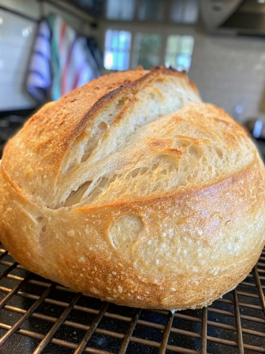 Sue's SOUR Organic Dehydrated Sourdough Starter – with Activation Guide – Ideal for Artisan Bread Baking