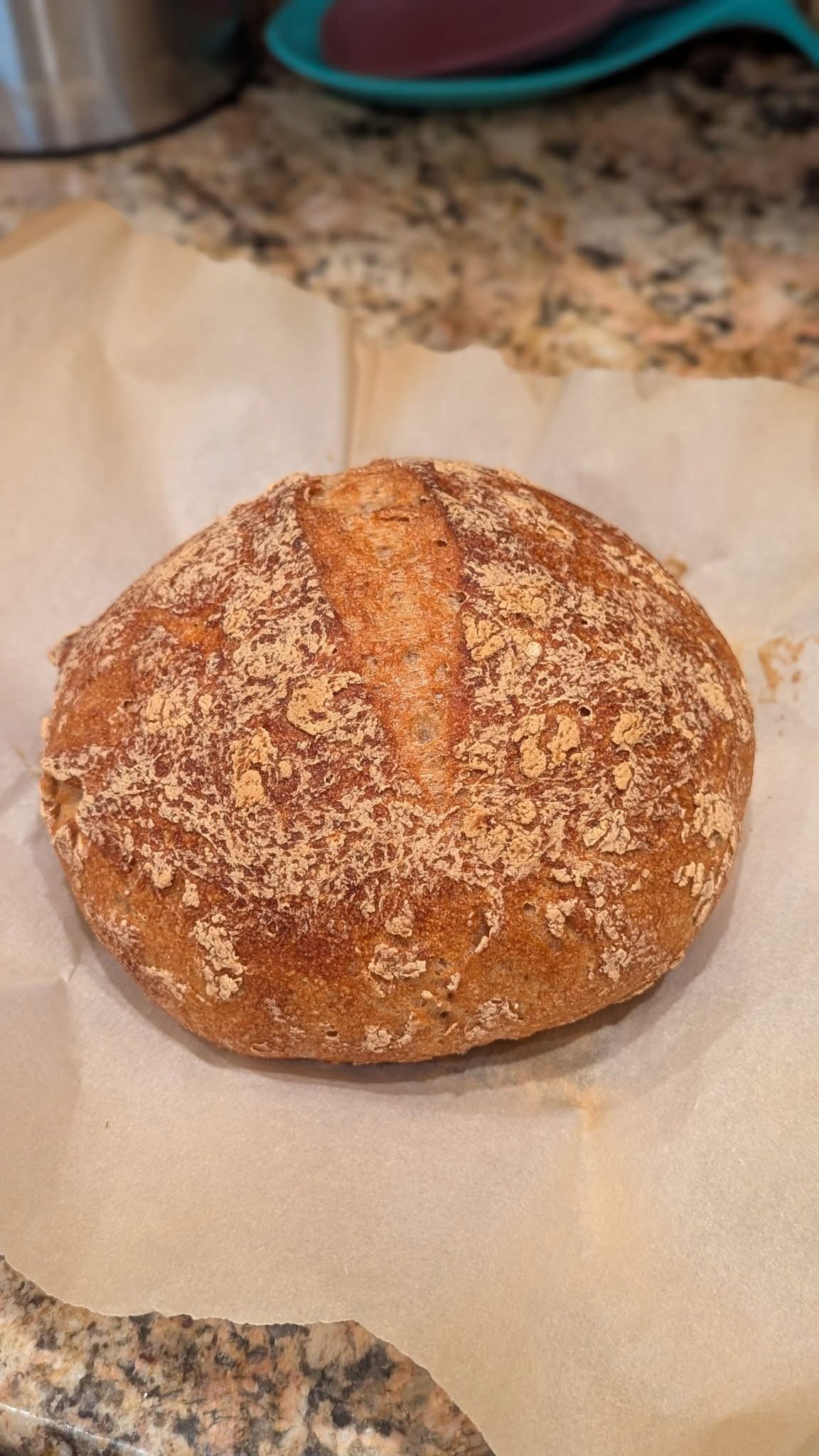 GLUTEN FREE | 240+yr Old San Francisco Sourdough Starter Heritage - Organic Live Dehydrated