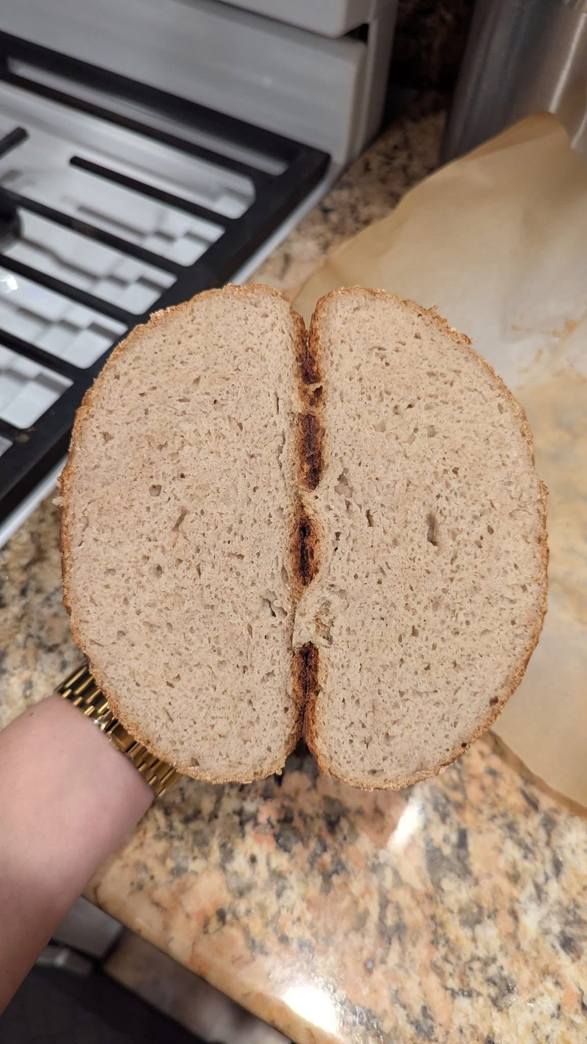GLUTEN FREE | 240+yr Old San Francisco Sourdough Starter Heritage - Organic Live Dehydrated
