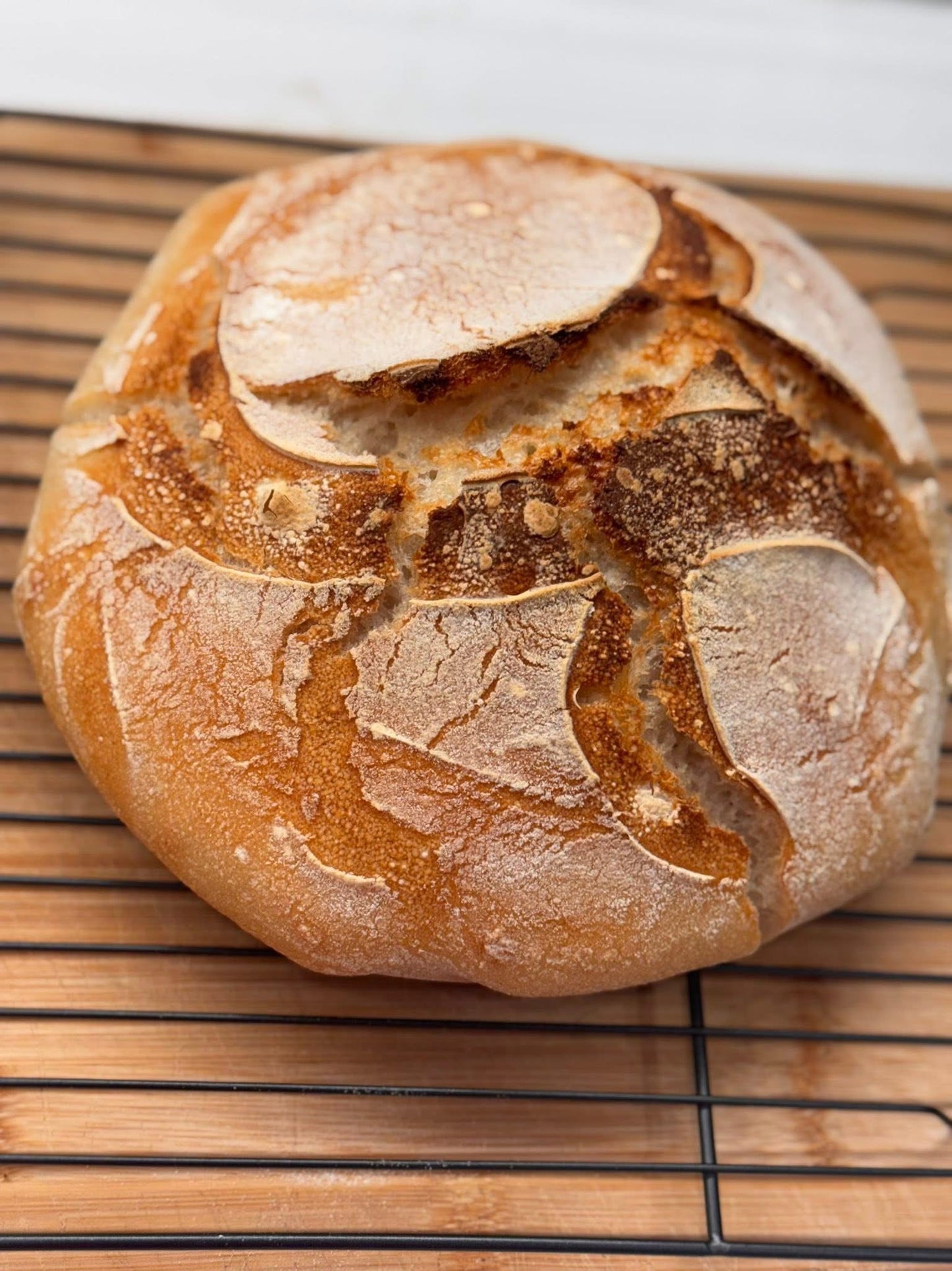 GLUTEN FREE | 240+yr Old San Francisco Sourdough Starter Heritage - Organic Live Dehydrated