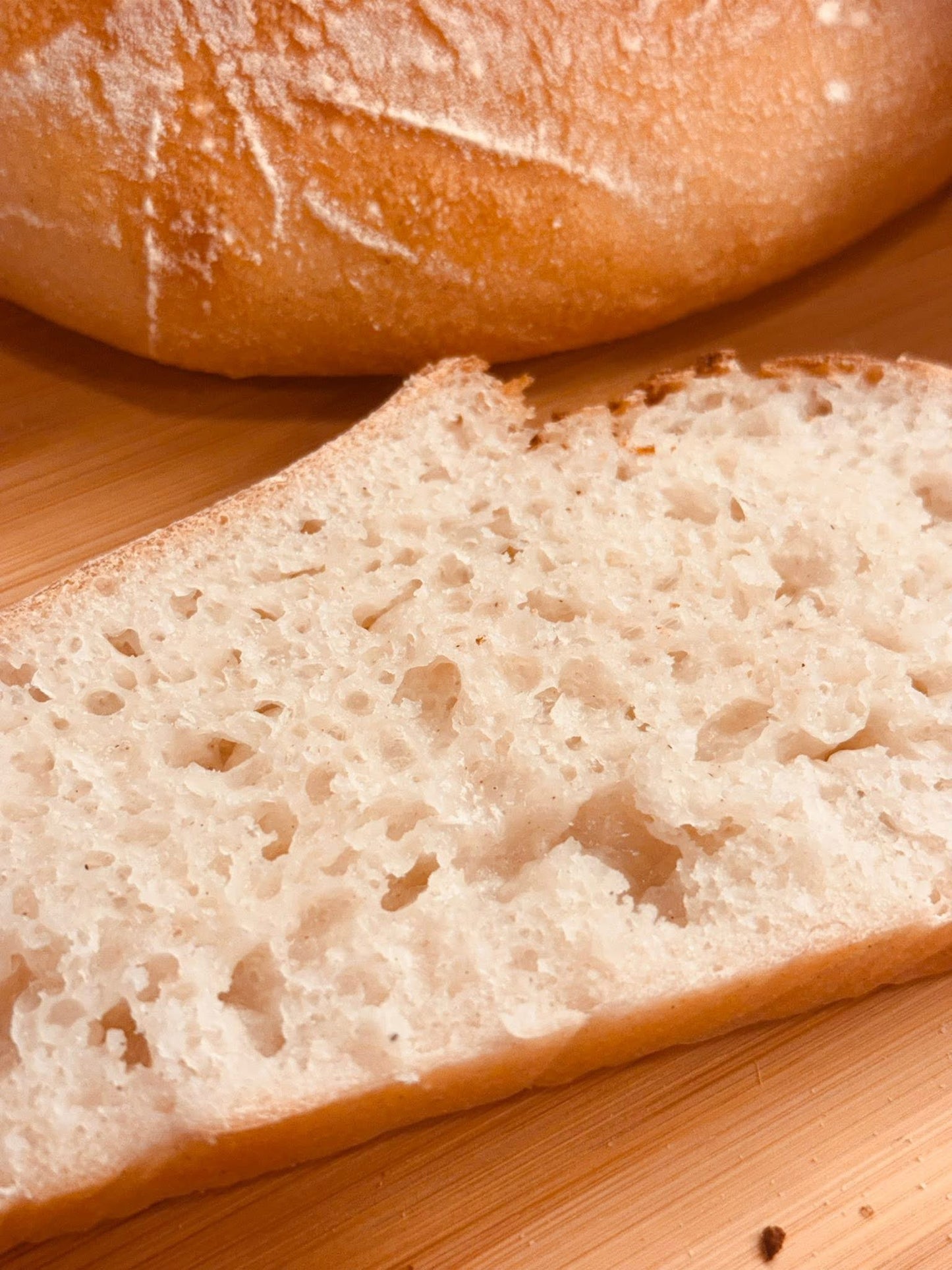 GLUTEN FREE | 240+yr Old San Francisco Sourdough Starter Heritage - Organic Live Dehydrated