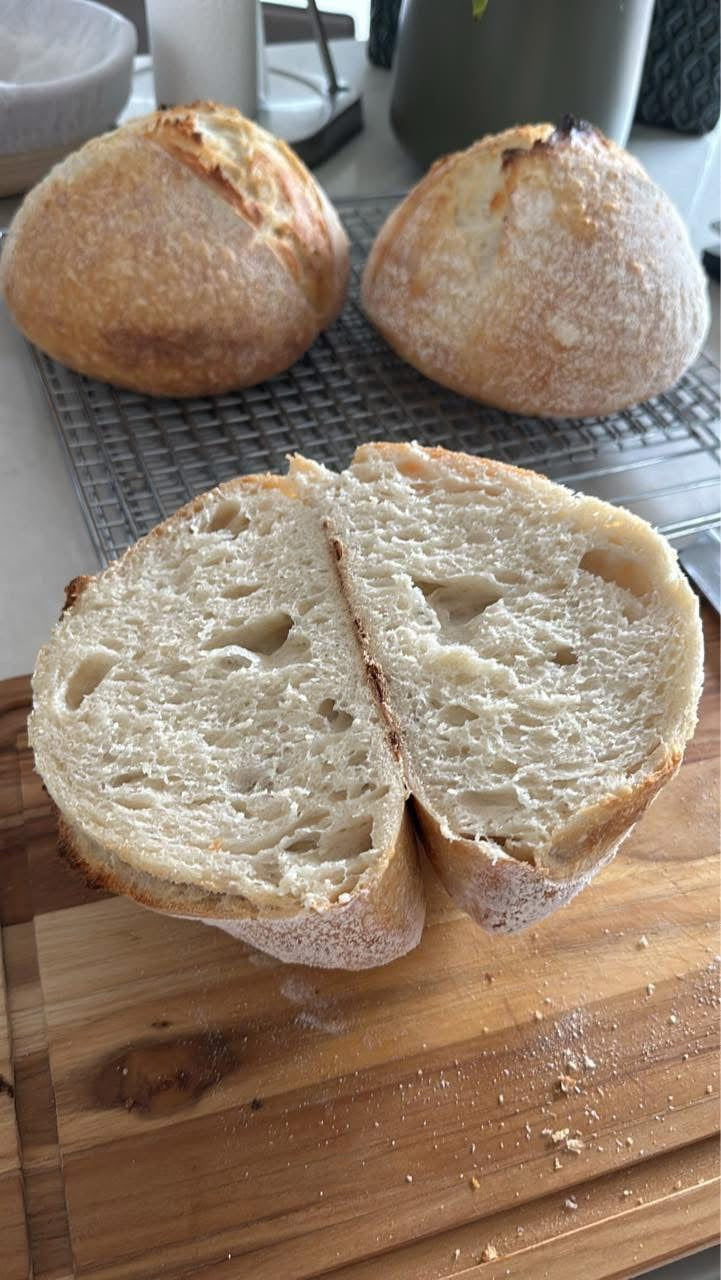 GLUTEN FREE | 240+yr Old San Francisco Sourdough Starter Heritage - Organic Live Dehydrated