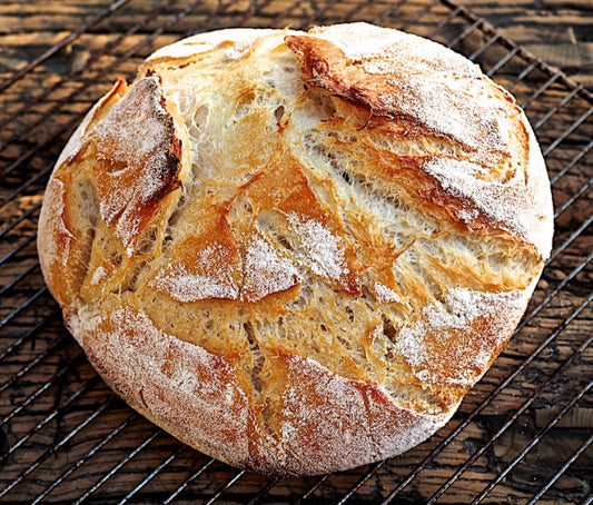 1000 year old ITALY Sourdough Starter - Camaldoli Monastery | Organic Dehydrated Culture