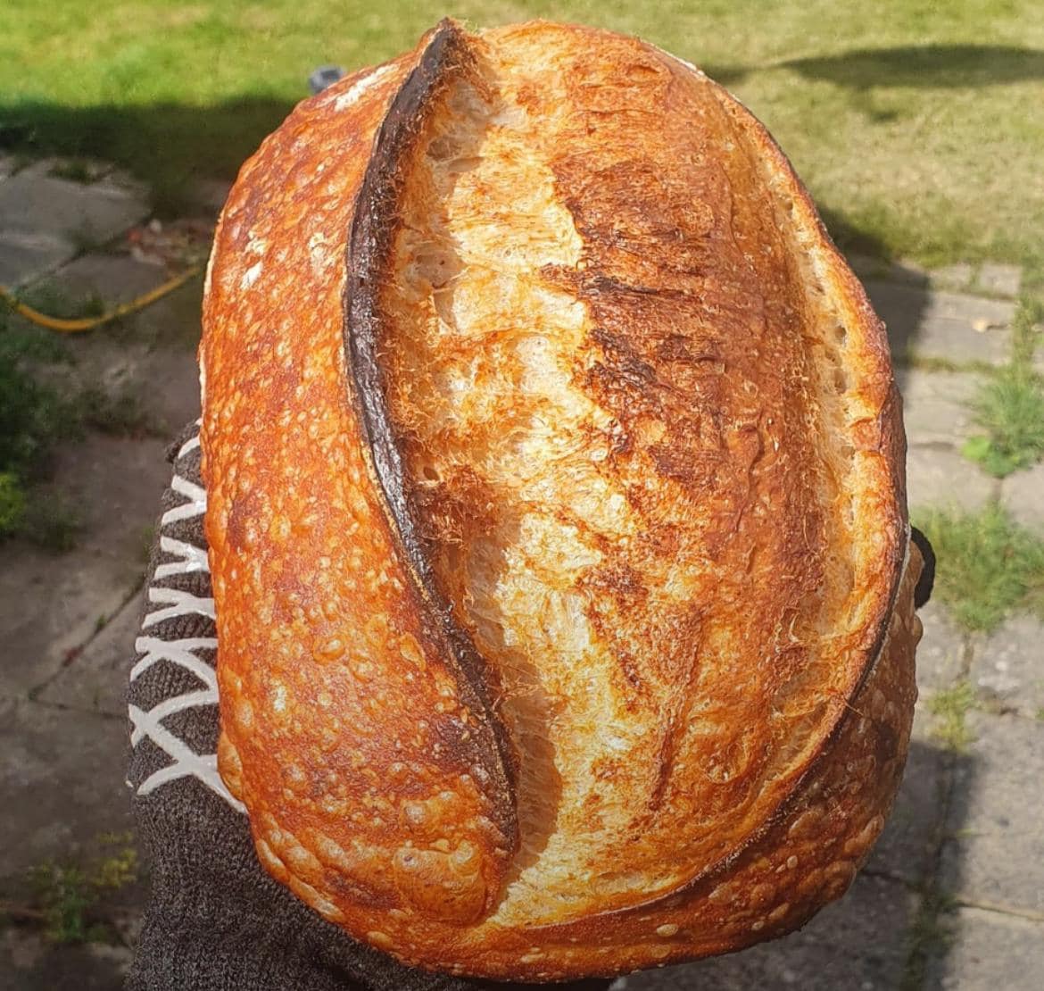 240+ year Old Easy San Francisco Sourdough Starter Heritage - Organic Dehydrated OUR BEST SELLER!
