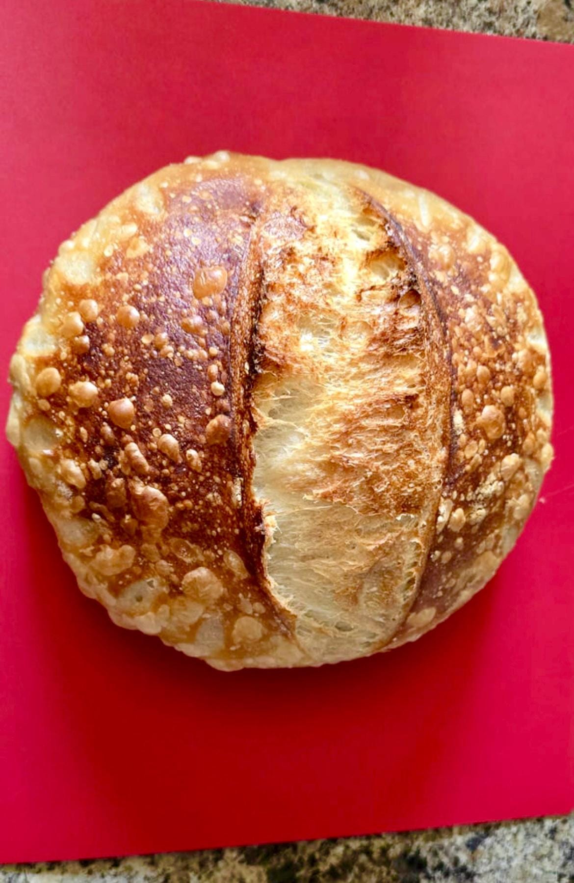 240+ year Old Easy San Francisco Sourdough Starter Heritage - Organic Dehydrated OUR BEST SELLER!