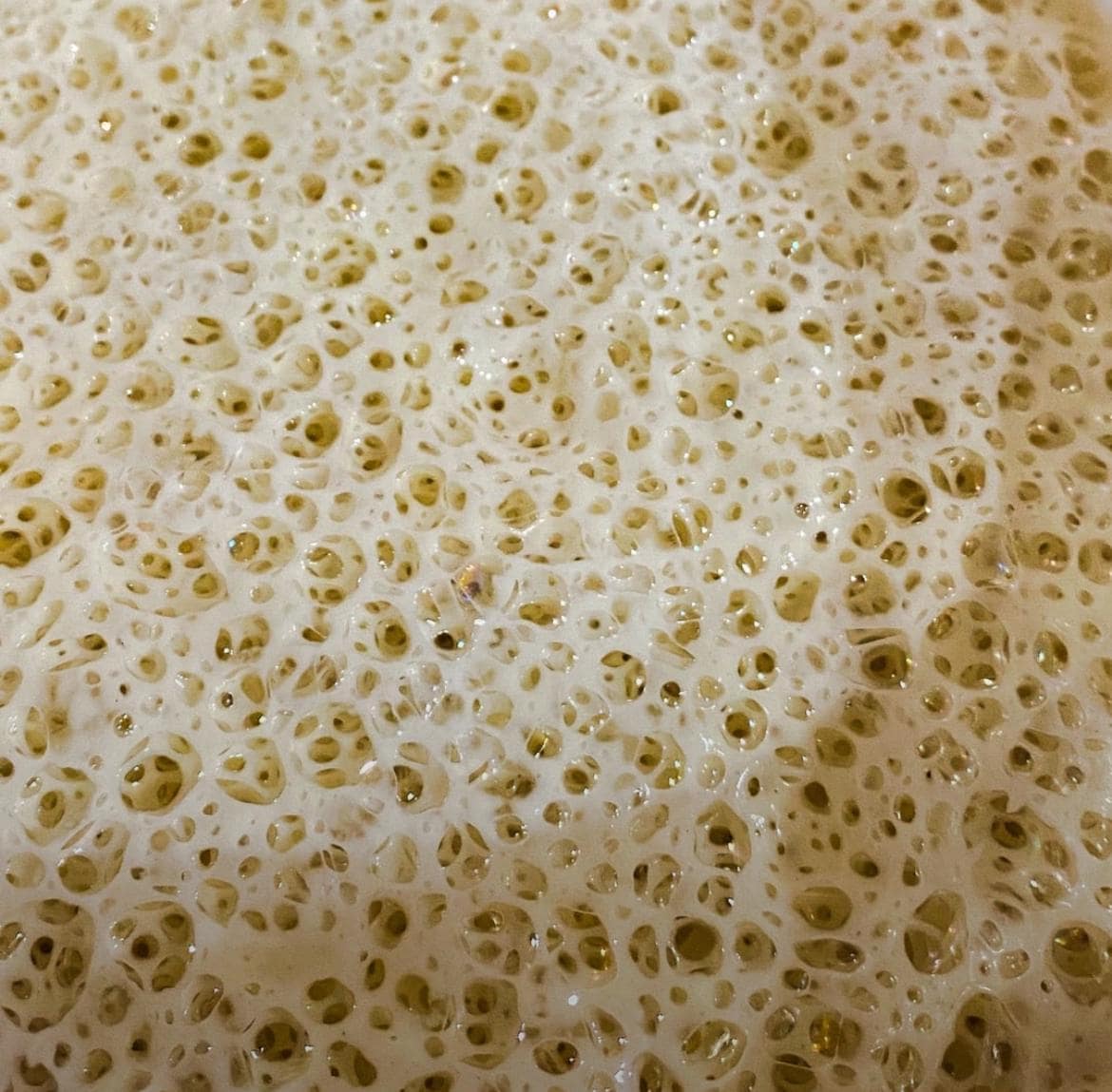 240+ year Old Easy San Francisco Sourdough Starter Heritage - Organic Dehydrated OUR BEST SELLER!