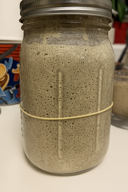 Black Death | Sourdough Starter – Wickedly Sour | Live Dehydrated Yeast Culture