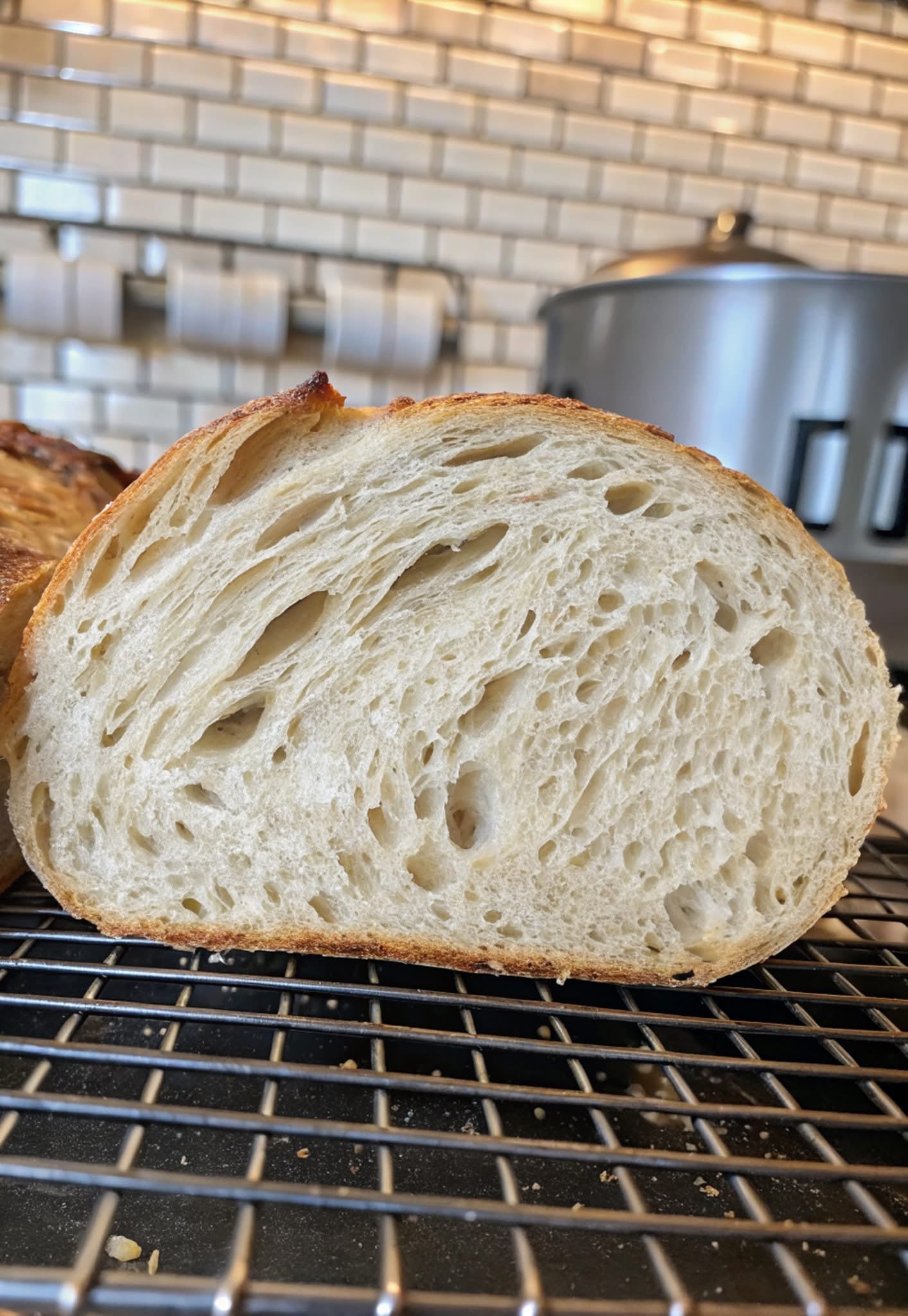 Eve -  Sourdough Starter - Organic Dehydrated Starter - Strong!Eve -  Sourdough Starter - Organic Dehydrated Starter - Strong!