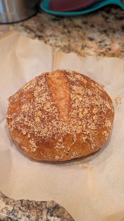 GLUTEN FREE | 240+yr Old San Francisco Sourdough Starter Heritage - Organic Live Dehydrated