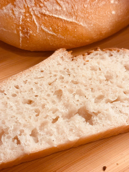 GLUTEN FREE | 240+yr Old San Francisco Sourdough Starter Heritage - Organic Live Dehydrated