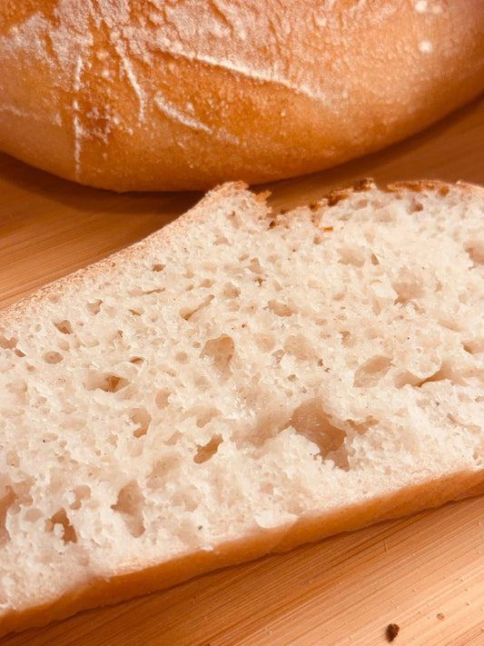 GLUTEN FREE | 240+yr Old San Francisco Sourdough Starter Heritage - Organic Live Dehydrated