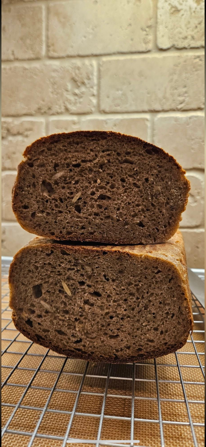 Black Death | Sourdough Starter – Wickedly Sour | Live Dehydrated Yeast Culture