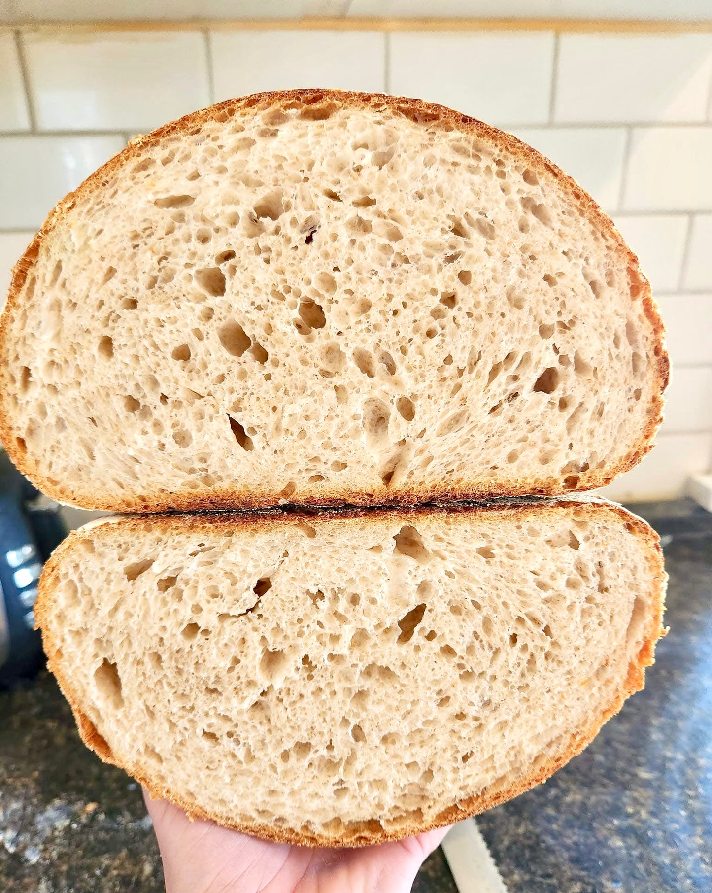 Eve -  Sourdough Starter - Organic Dehydrated Starter - Strong!Eve -  Sourdough Starter - Organic Dehydrated Starter - Strong!