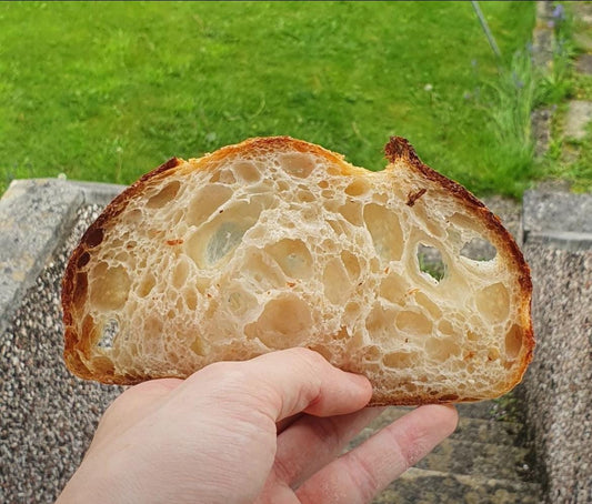 A person holding a slice of San Francisco sourdough bread with a spongy texture, outdoors.