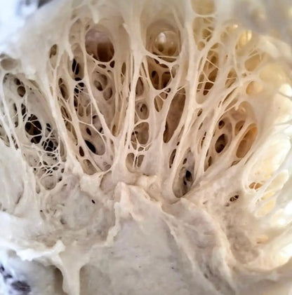 4500 year old Ancient Egyptian Sourdough Starter - Organic Dehydrated Culture
